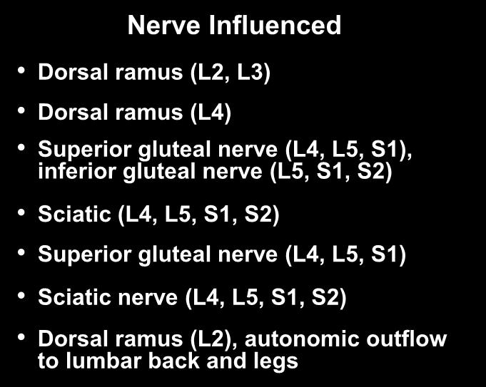 inferior gluteal nerve (L5, S1, S2) Sciatic (L4, L5, S1, S2) Superior gluteal nerve (L4,