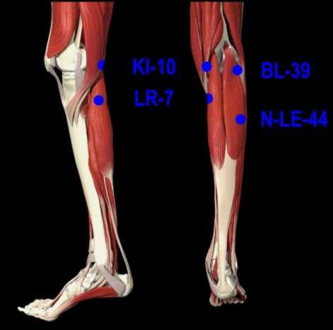 semitendinosus tendons KI-10 strengthens lumbar