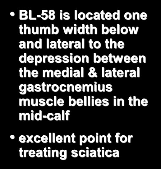 Bladder 58 + 60 BL-58 is located one thumb width below and lateral to the depression between the medial