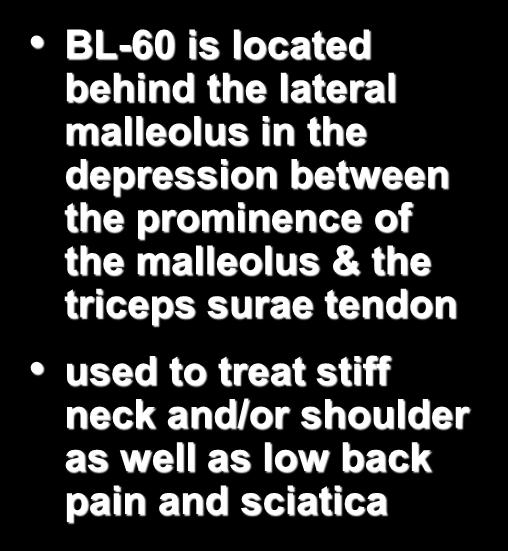 Bladder 58 + 60 BL-60 is located behind the lateral malleolus in the depression between the prominence of the
