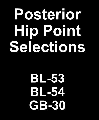 Posterior Hip Point Selections S1 S2 S3 BL-53 BL-54