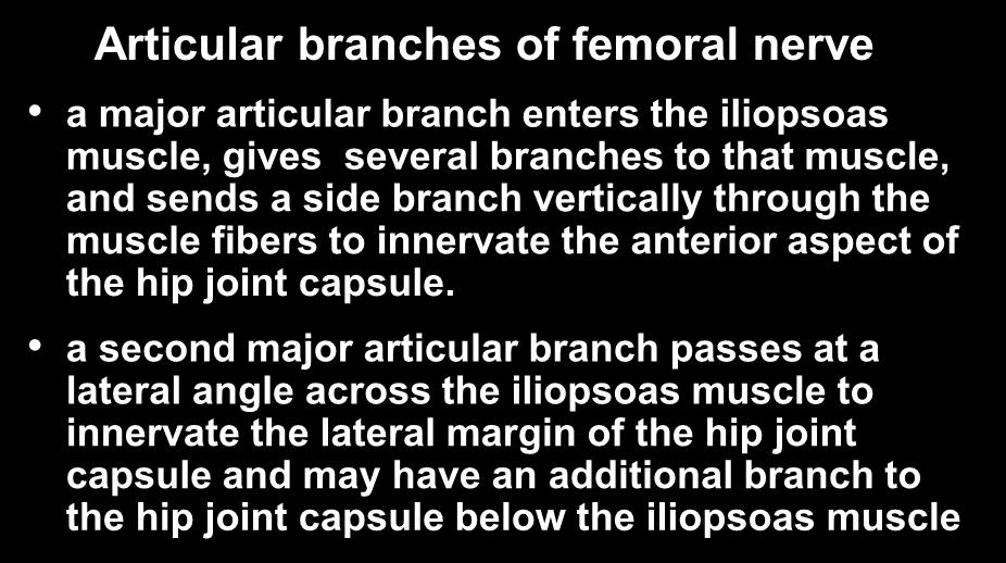 Hip Joint Innervation- Anterior Articular branches of femoral nerve a major articular branch enters the iliopsoas muscle, gives several branches to that muscle, and sends a side branch vertically