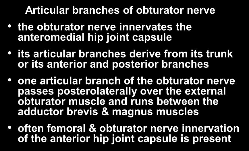 Hip Joint Innervation- Anterior Articular branches of obturator nerve the obturator nerve innervates the anteromedial hip joint capsule its articular branches derive from its trunk or its anterior