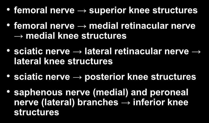 nerve lateral knee structures sciatic nerve posterior knee structures