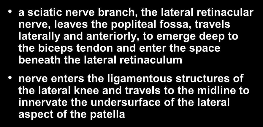 Knee Joint Innervation- Lateral lateral retinacular nerve a sciatic nerve branch, the lateral retinacular nerve, leaves the popliteal fossa, travels laterally and anteriorly, to emerge deep to the