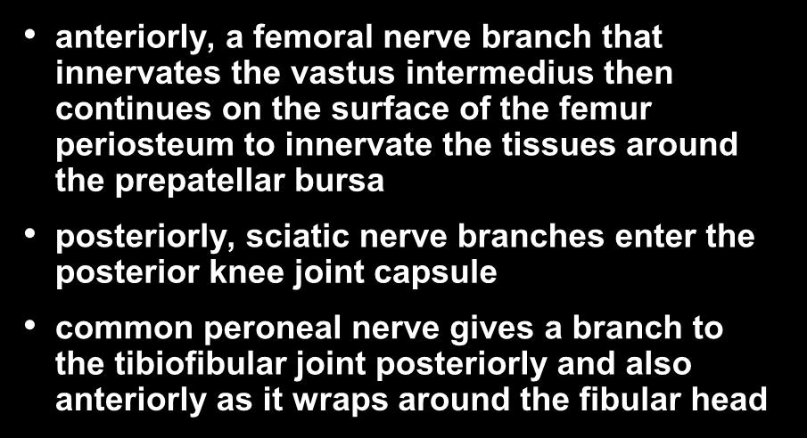 Knee Joint Innervation- Anterior & Posterior Aspects anteriorly, a femoral nerve branch that innervates the vastus intermedius then continues on the surface of the femur periosteum to innervate the