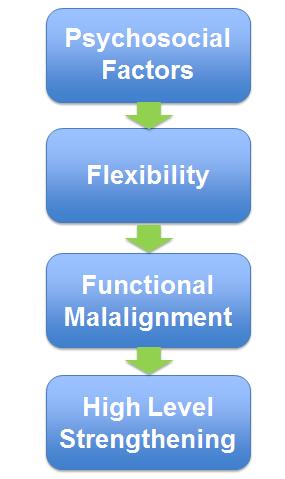PFP Algorithm PFP Psychosocial Factors Flexibility Functional Malalignment High Level Strengthening Goal-Based Treatments