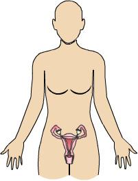 This reference summary will help you understand how ovarian cancer is detected and treated.
