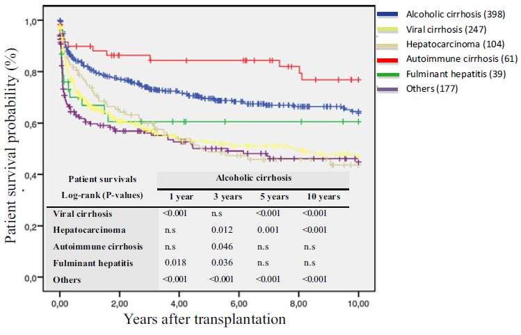 Survival curves according to main indications for liver transplant in
