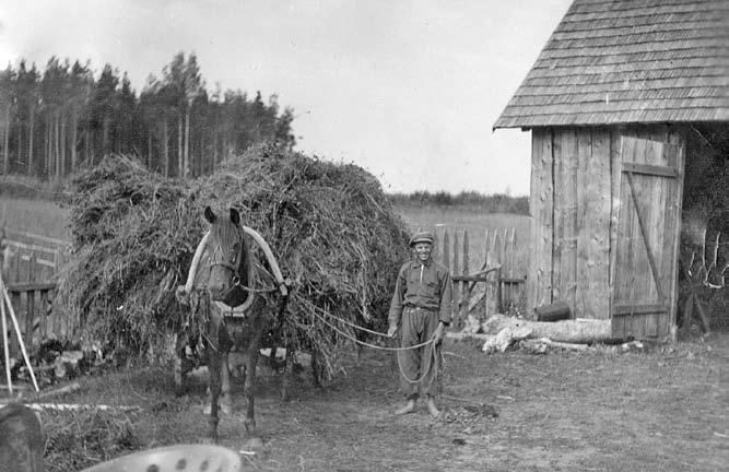 Päev Metsakuru talus 15. juuni 1931 Suvi on oma haripunkti ületanud, kuid sellele vaatamata on ikka veel Eestimaa kohta lausa harjumatult palav.