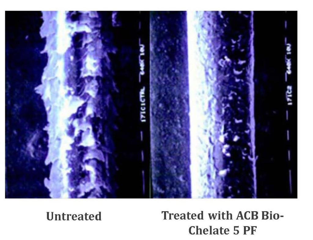 In-vivo Efficacy Data: ACB Bio-Chelate 5 PF Hair Smoothing Properties Results Scan Electron Microscopy images illustrate the smoothing benefits of ACB Bio-Chelate 5 PF on the hair
