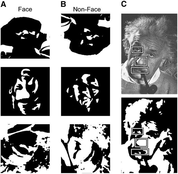 McKeeff Figure 1. Examples of (A) Mooney face stimuli and (B) nonface stimuli. Nonface stimuli were generated by scrambling and altering intact Mooney faces.
