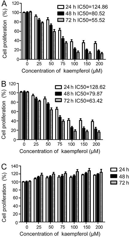 song et al: Kaempferol inhibits gastric cancer tumor growth 869 fetal bovine serum (FBS) at 37 C and 5% CO 2. Kaempferol was purchased from Winherb Medical S&T Development Co., Ltd. (Shanghai, China).