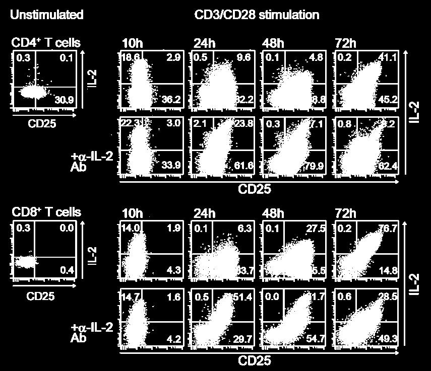 Supplementary figure 4 Supplementary figure 4: Kinetics of CD25 and IL-2 expression on activated T cells.