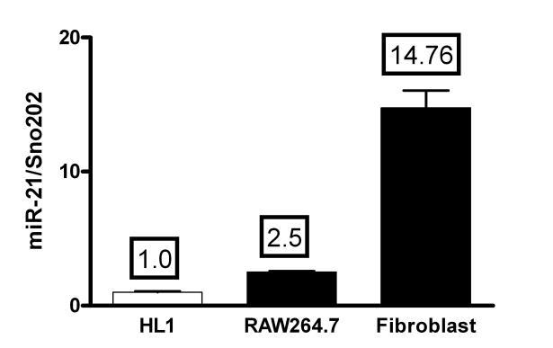 Fibroblast activation and fibrosis