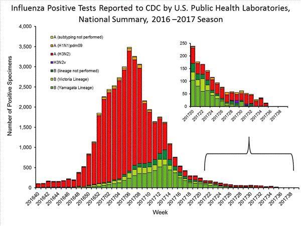 Influenza in the US: