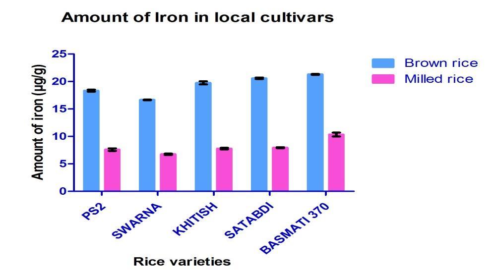 IRON AND ZINC IN RICE
