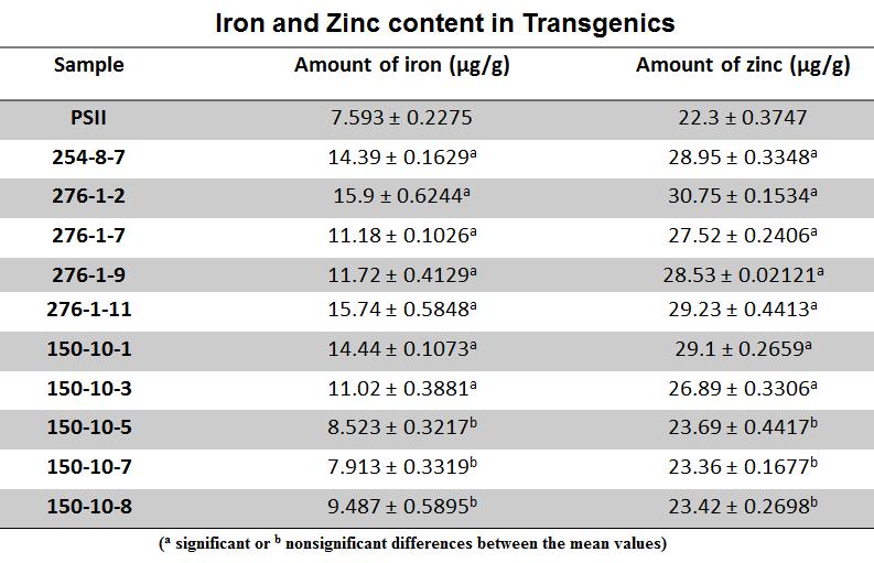 BIOCHEMICAL ANALYSIS: ESTIMATION OF IRON AND ZINC IN TRANSGENICS Amount of iron and zinc were estimated with