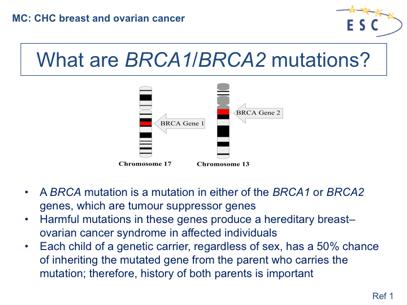 1. Source and comments: Wikipedia.org BRCA Genes The BRCA genes are tumour suppressor genes pictured here on their respective chromosomes.