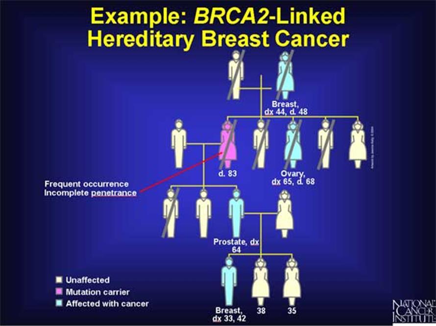 PENETRANCE * Probability of developing breast /ovarian cancer in women with BRCA1 /BRCA2 mutation * Published reports of penetrance describe estimates of BRCA1 and BRCA2