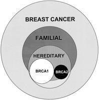 Hereditary breast and ovarian cancer (HBOC) resulting from mutations in BRCA1 and BRCA2 is the most common form of both hereditary breast and ovarian cancers Occurs in all ethnic and racial
