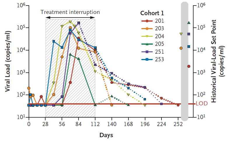 CCR5-modified CD4 T cells at 1 week post infusion constituted 13.