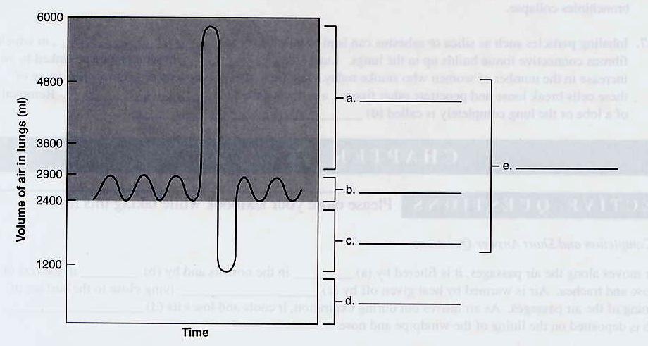 In the diagram below, label the types of air volumes with the
