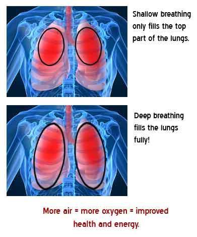 Dead Air Space Inhaled air that never reaches the alveoli Remains in the nasal cavities, trachea,