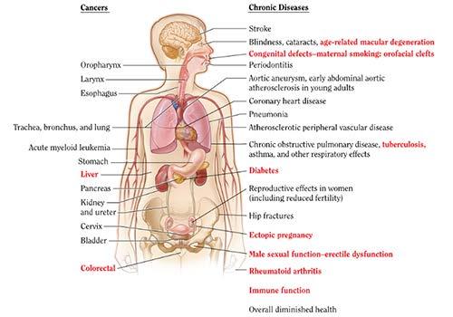Biomedical Conditions and Complications Tobacco,