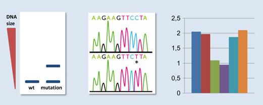 Genetics of neurological disorders A B C Figure 1. Detection of genetic mutations. Different types of mutations have to be tested using different techniques.