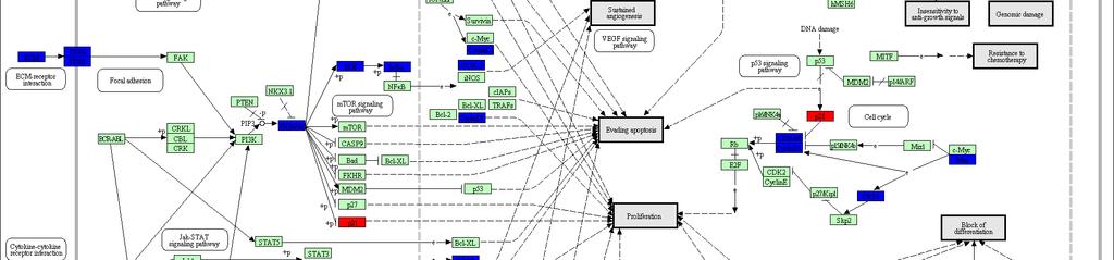 Genomes) analysis of cancer pathway in