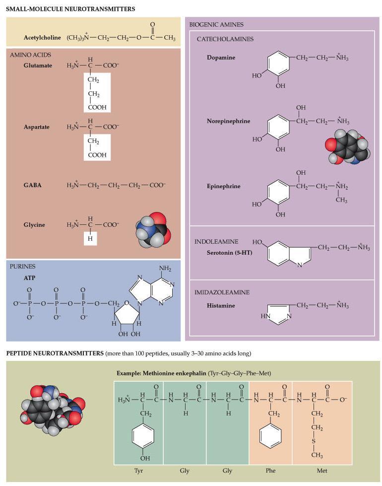 Examples of smallmolecule