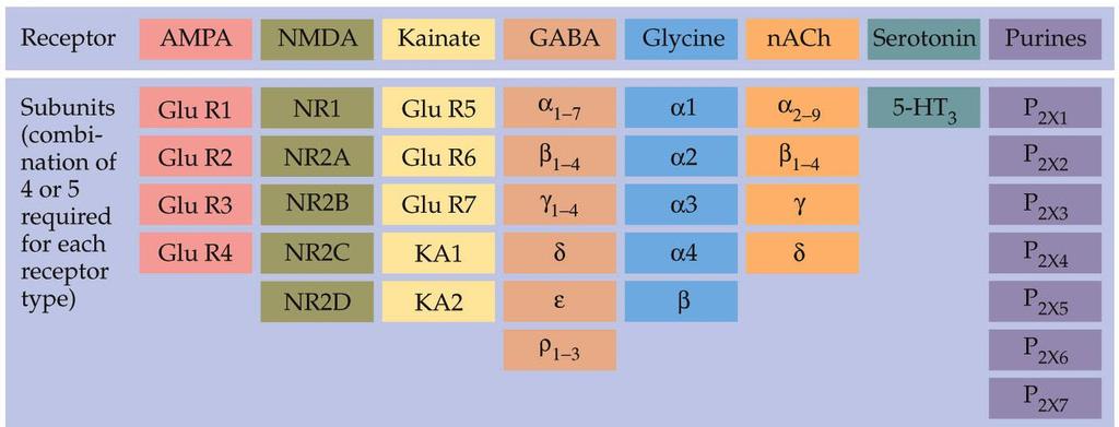 Each ionotropic receptor subtype is made of