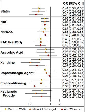 Although xanthine, NAC, NaHCO3, NAC+NaHCO3, ischemic preconditioning, and natriuretic peptide may have