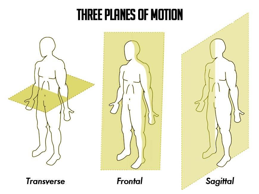 Figure 2.31. Three different planes used in the anatomy of the human body. From Find your direction, by Dyke, J., 2014, http://www.crossfitsouthbay.com/find-your-direction/. Copyright 2014 by Dyke, J.