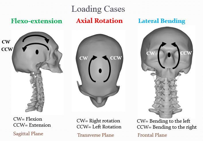 Figure 2.32. The three different rotations of head. Table 2.1 Range of motion of the spine in response to different mechanical load.