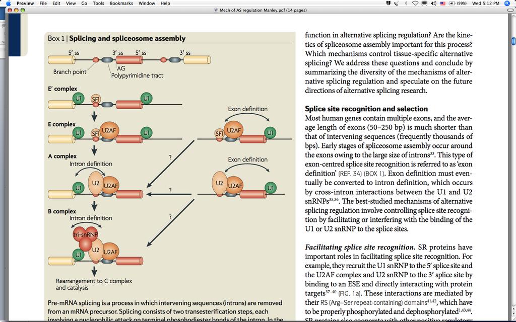 Splicing and spliceosomal assembly Mechanisms of