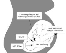 Maternal vitamin D intake during pregnancy and early childhood wheezing. Devereux G, Am J Clin Nutr.