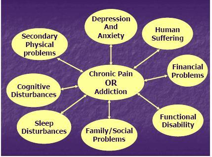 Pain and Addiction Ann