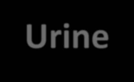 Urine 1