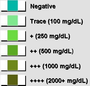 Reagent strip manufacturers use several different chromogens, including potassium iodide (green to brown) and