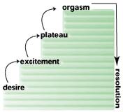 Sexual Dysfunctions Refers to impairment either in The desire for sexual gratification The ability to achieve it The human sexual response has four phases: Desire phase Excitement phase Orgasm