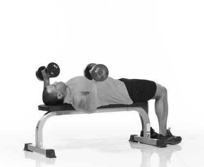 Basic Exercise Guide Use this equipment only for the exercises as shown. Know your limitations.