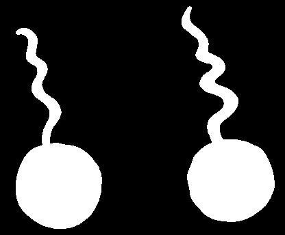 TWINS! IDENTICAL TWINS = 1 SPERM + 1 EGG The egg then splits into two fetuses.