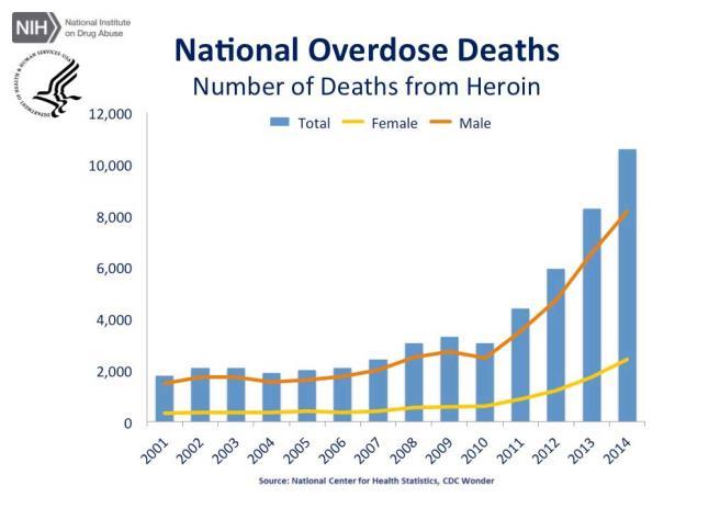 As the New York Times reported earlier this year, deaths from drug overdoses have jumped in nearly every county across the United States, driven largely by an explosion in addiction to prescription