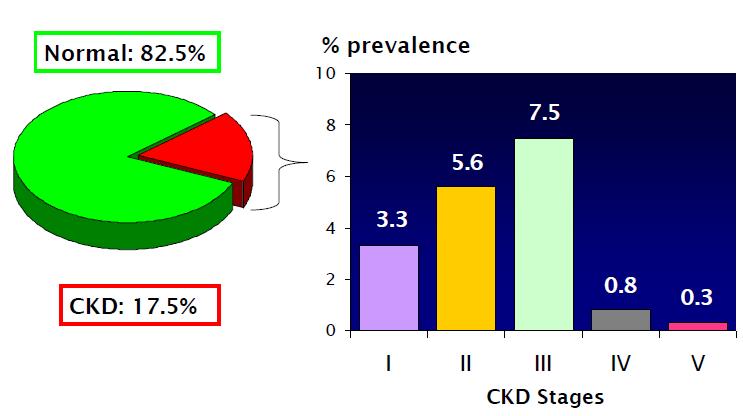 Prevalence of CKD in Thailand: THAI-SEEK study