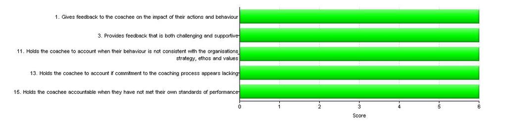 Strengths and Development Areas excluding self Your Areas of