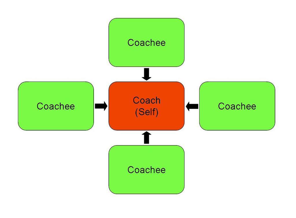 Introduction 360 Feedback The following pages contain feedback on your coaching style following the completion by you and your coachee(s) of the Challenging Coaching questionnaire.