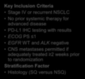 CNS metastases permitted if adequately treated 2 weeks prior to randomization Stratification Factor Histology (SQ versus NSQ) PD-L1+ ( 1%) Randomize 1:1:1 PD-L1- (<1%) Nivolumab monotherapy 240 mg