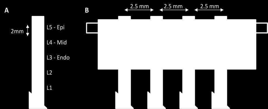 Figure 4: Schematic of a plunge needle used for resistivity measurement (A) and the four needle array used to measure intramural resistivity for several layers (B).